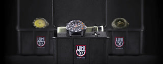 seturi ceas de firma Luminox cu curea suplimentara pentru cadou