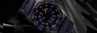 ceas firma barbati Luminox Limited Edition Swiss Made
