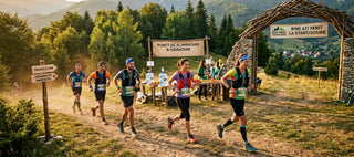 Profil Sportiv