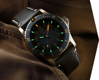 ceasuri de lux barbati