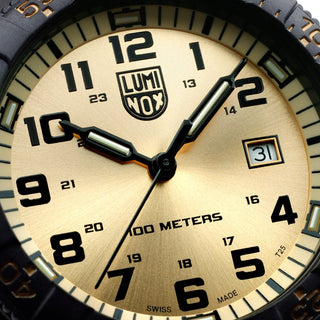 Leatherback SEA Turtle Giant, 44mm, Outdoor watch - 0325, Detail view of the watch dial
