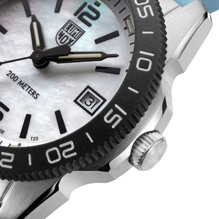 Pacific Diver, 39mm, Ceas de scufundari - XS.3124M